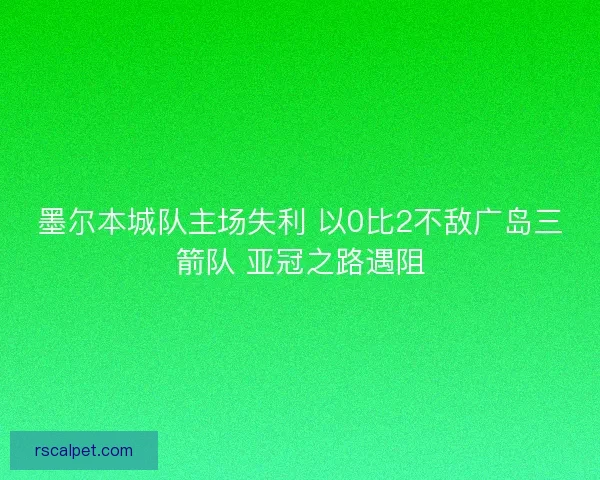 墨尔本城队主场失利 以0比2不敌广岛三箭队 亚冠之路遇阻
