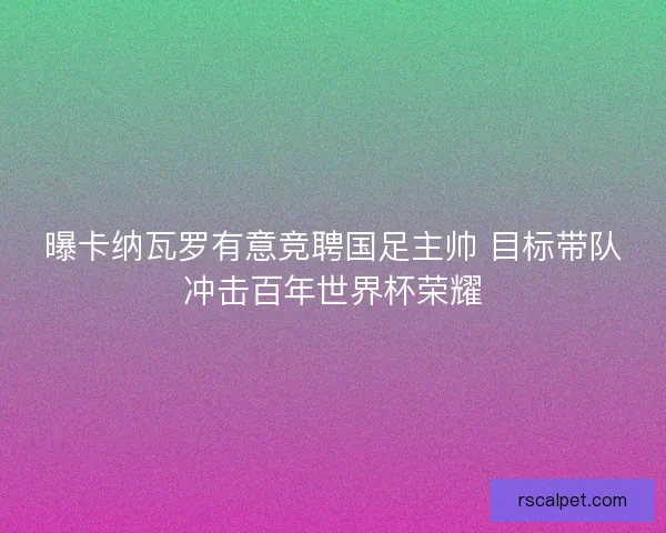 曝卡纳瓦罗有意竞聘国足主帅 目标带队冲击百年世界杯荣耀