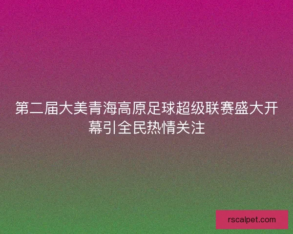 第二届大美青海高原足球超级联赛盛大开幕引全民热情关注