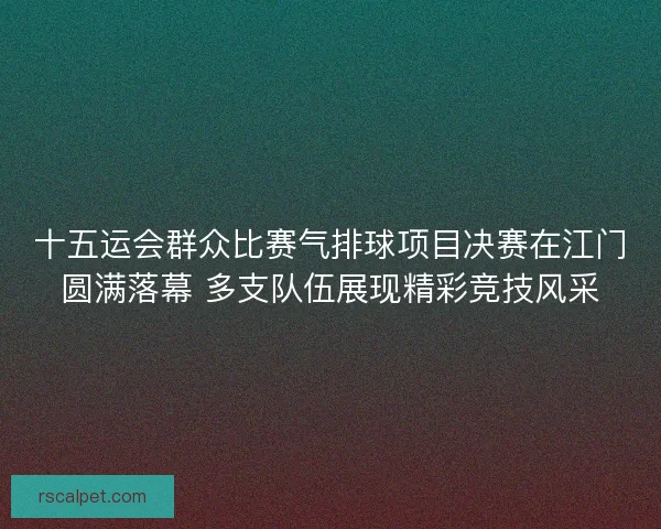 十五运会群众比赛气排球项目决赛在江门圆满落幕 多支队伍展现精彩竞技风采