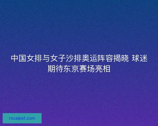 中国女排与女子沙排奥运阵容揭晓 球迷期待东京赛场亮相