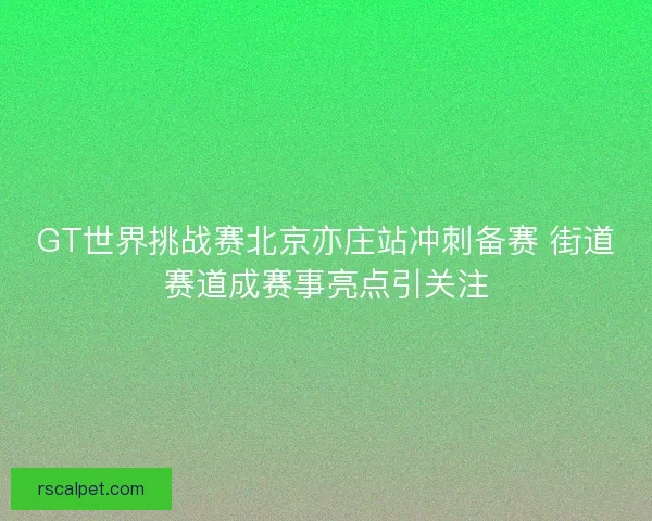 GT世界挑战赛北京亦庄站冲刺备赛 街道赛道成赛事亮点引关注