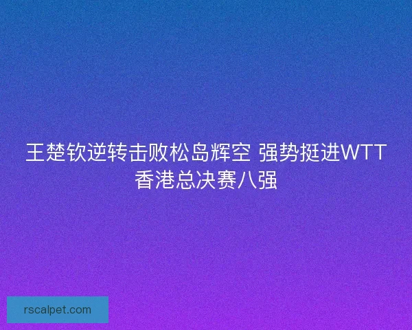 王楚钦逆转击败松岛辉空 强势挺进WTT香港总决赛八强