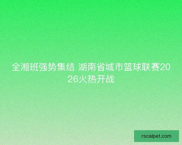全湘班强势集结 湖南省城市篮球联赛2026火热开战