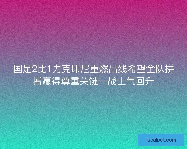 国足2比1力克印尼重燃出线希望全队拼搏赢得尊重关键一战士气回升